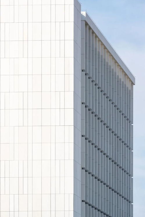 wa丨工程实录丨方炜淼,吴震陵丨山东药品食品职业学院图书信息大楼