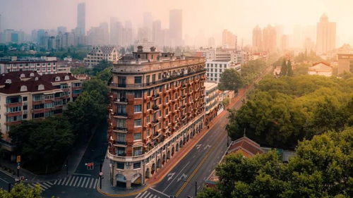 武康大楼亮相央视新闻,这座老建筑凭什么这么 红