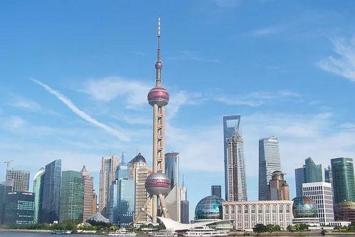史上最全 上海国际学校择校地图全攻略