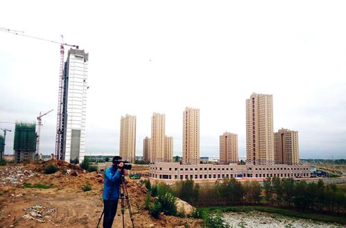 鹤城机关建设网市直动态与建筑新闻综述